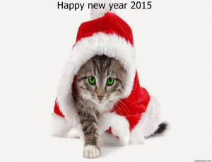 Happy New Year 2015 Funny wallpaper messages quotes wishes images ...