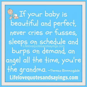 If your baby is beautiful and perfect, never cries or fusses, sleeps ...