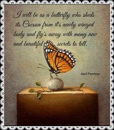 Butterfly blessings More