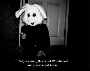 ... gore Alice In Wonderland alice human wonderland bunny rabbit Macabre