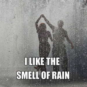the smell of rain
