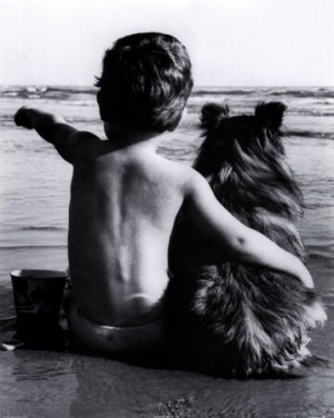 beach, best friends, black and white, boy, dog, mans best friend
