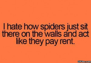 Damn you spiders - Funny Pictures, MEME and Funny GIF from GIFSec.com