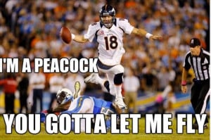 Broncos Funny Pictures 2014 Funny payton manning running