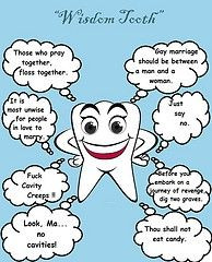 Happy Friday! Do you know what wisdom teeth really are? #dental2000nj