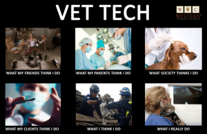 veterinary humor vet tech animal lover animals