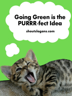 Going Green is the PURRR-fect idea! It sounds like Perfect Idea. Purrr ...