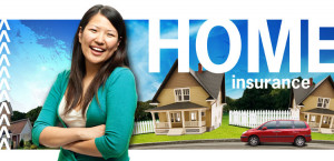 normal home insurance is additionally brought up as hazard insurance ...