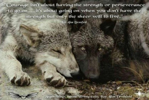 , Wild Dogs, Gray Wolf, Cuddling, Grey Wolves, Jamie Dutcher, Wolf ...