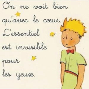Great quote from Le Petit Prince :)