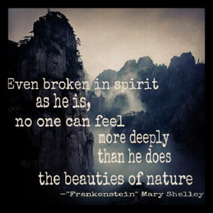 Mary Shelleys Frankenstein Quotes