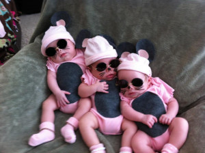 Posted by Young Grasshoper at 11:53 AM