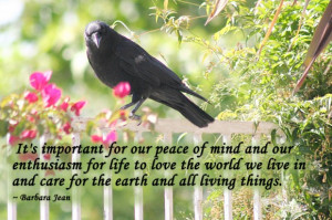 ... live in and care for the earth and all living things. ~ Barbara Jean