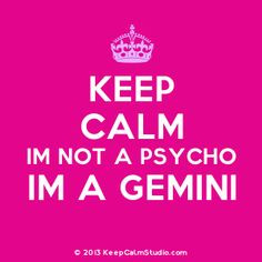 ... awesome quotes gemini things twin gemini gemini zodiac gemini baby