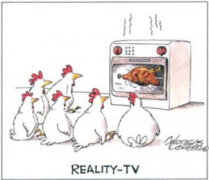 Funny Picture Chicken R eali ty TV