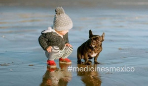 Funny Sunday Morning Quotes