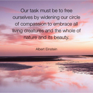 ... living creatures and the whole of nature and its beauty. – Albert