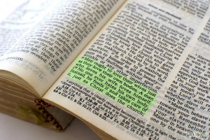 Found on wikihow.com