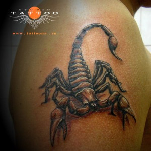 scorpio tattoo, compatibility scorpio and scorpio, scorpio tattoo ...