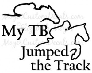 OTTB Off Track Thoroughbred Jumper Jumping Horse My TB Jumped the ...