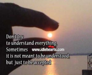 Don’t Try To Understand Everything.