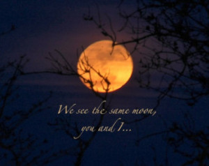 Full Moon Quotes Rumi Full moon quotes rumi full