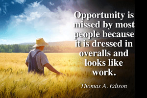 ... it is dressed in overalls and looks like work. Thomas A. Edison Quote