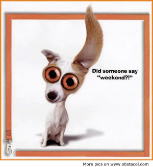 Weekend Breaks Funny Quotes...