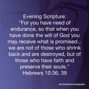 back.. #eveningscripture #scripturequote #biblequote #quote #endurance ...