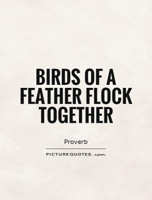 Birds of a feather flock together Picture Quote #1