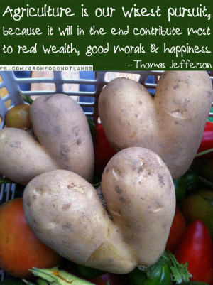 ... will in the end contribute most to real wealth good morals & happiness