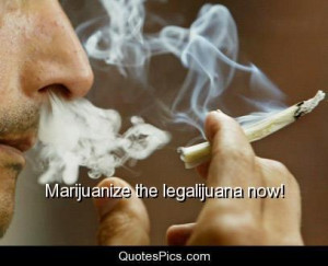 legalize marijuana pot head post navigation