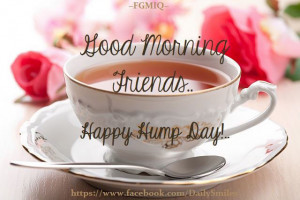 167632-Good-Morning-Happy-Hump-Day.jpg