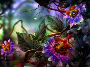imagenes de amor / Flores / Flores Fantasia