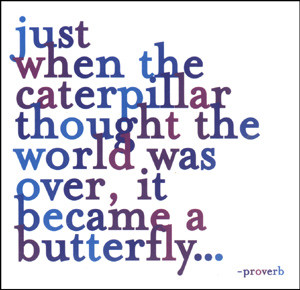 ... the caterpillar thought the world was over, it became a butterfly