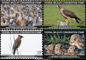 ... Stamp: An Additional Income Stream for Our National Wildlife Refuges
