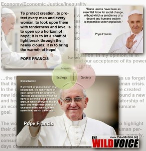 ... , quotes, quotations, environment, economy, social justice, synod
