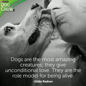Dogs-- unconditional love.
