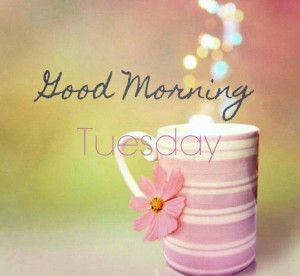 Good morning Tuesday