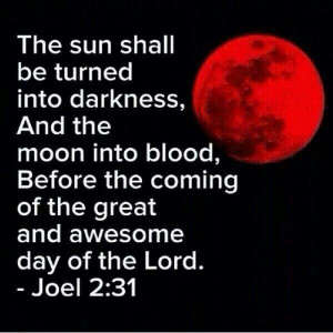 Pinned by Anna McFadden