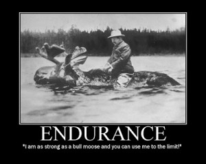 Teddy Roosevelt quotes as motivational posters . (The Art of Manliness ...