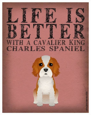 Cavalier King Charles Spaniel #truestory #cavalierkingcharles #pets