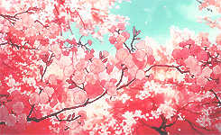 my gif scenery cherry blossoms anime gif anime scenery shigatsu wa ...