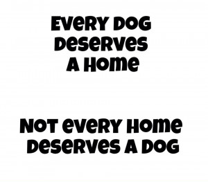 Displaying 15> Images For - Dog Love Quotes And Sayings...
