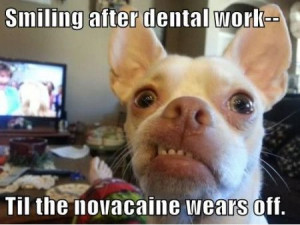 Funny Memes – [Smiling After Dental Work]