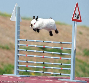 Long Jump Funny Rabbit