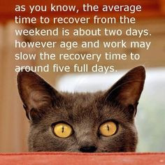 weekend recovery quotes. Days of the week. Have a great week. More
