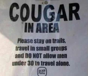 Related Cougar Quotes...