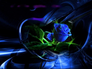 Blue Rose for my Fairy Sister - yorkshire_rose Photo