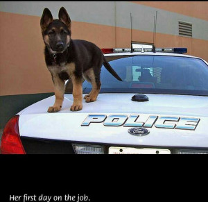Her first day on the job.